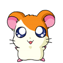 Hamtarou GIF